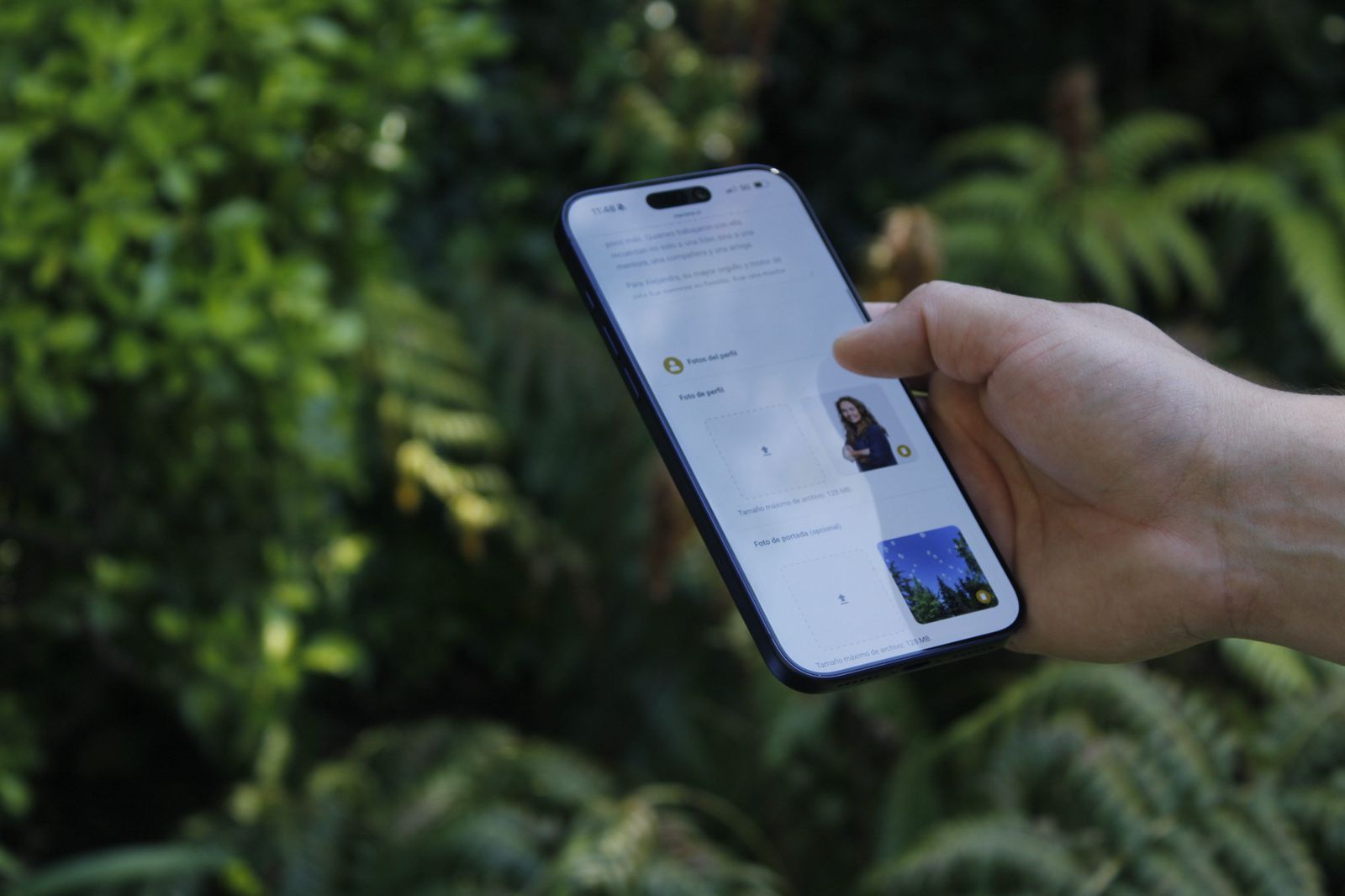 Creación de perfil con fotos y videos