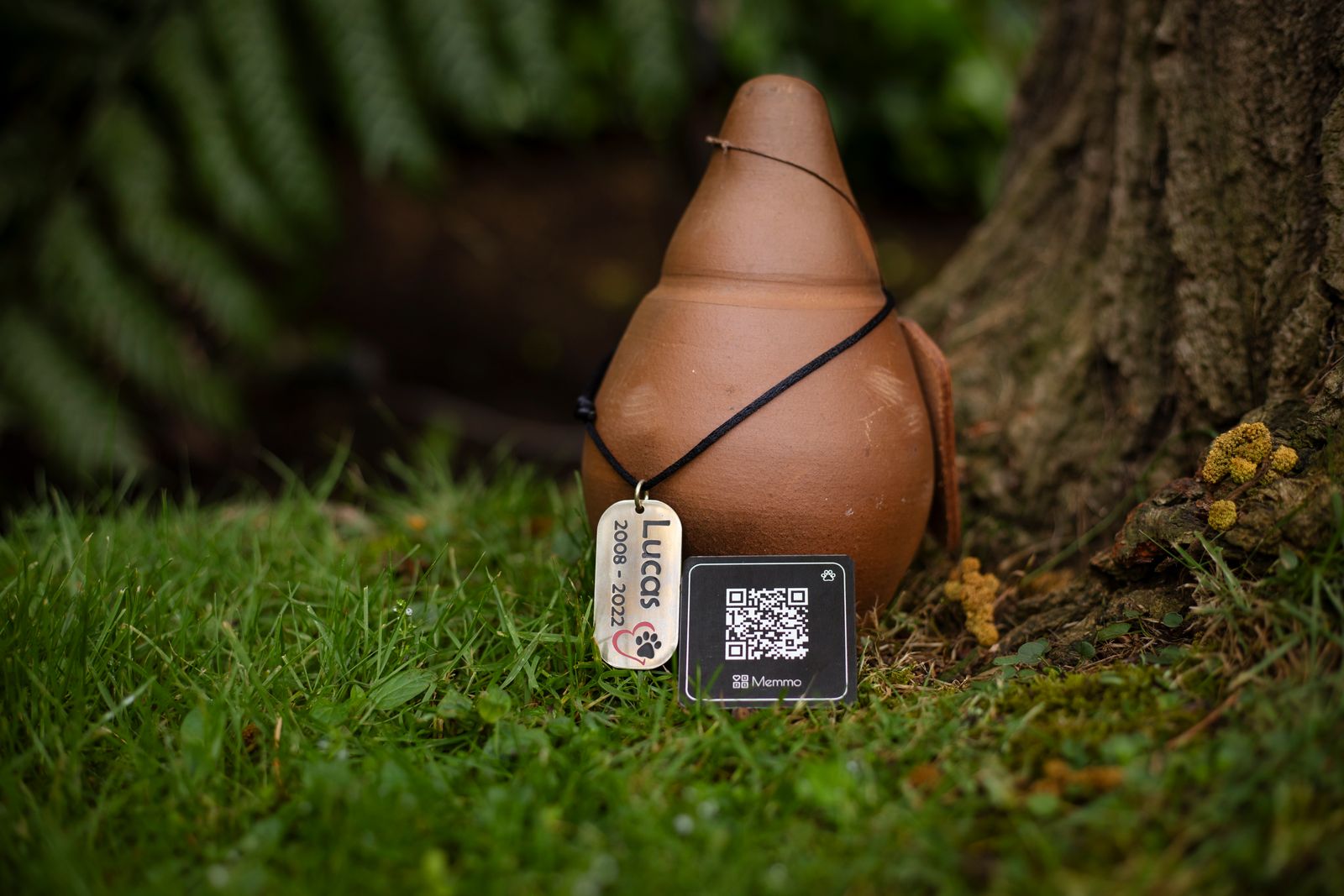Placa Memmo con código QR